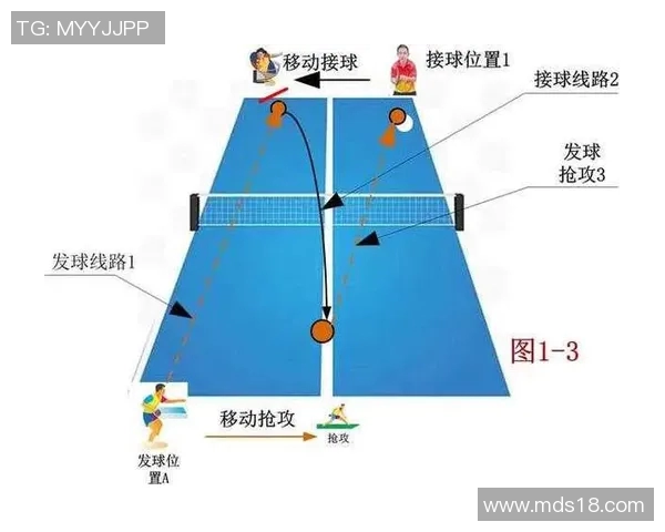 西安乒乓球队的默契配合与战术分析探讨