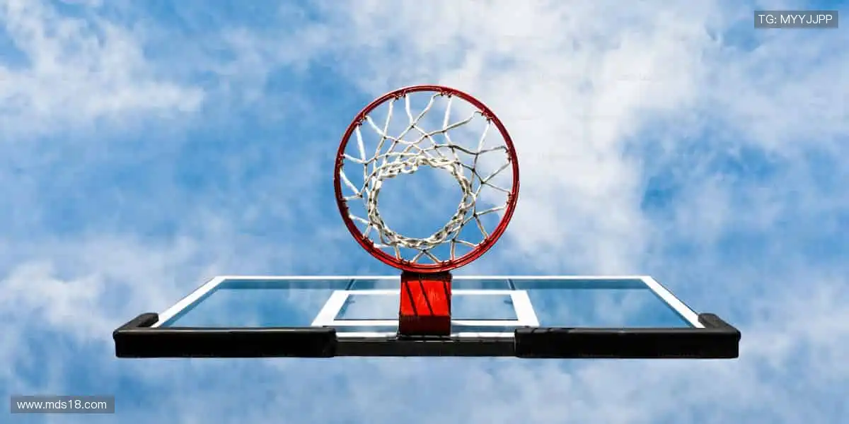 📰 体育新闻,权威速递!🏆 最新战报、深度解读,尽在掌握!